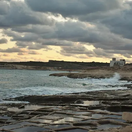 Zenia Court